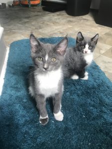 Homie and his buddy, Inspector Gadget