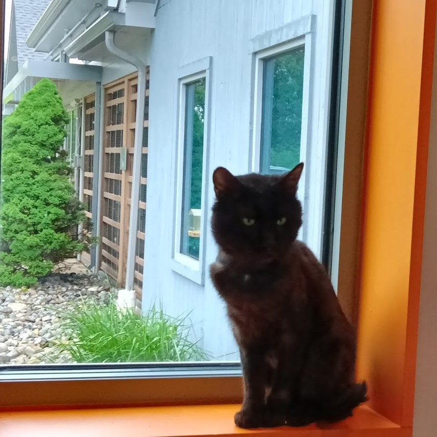 Kitty LeFey’s Cosmos: Abacus Cadabracus! – Tabby's Place