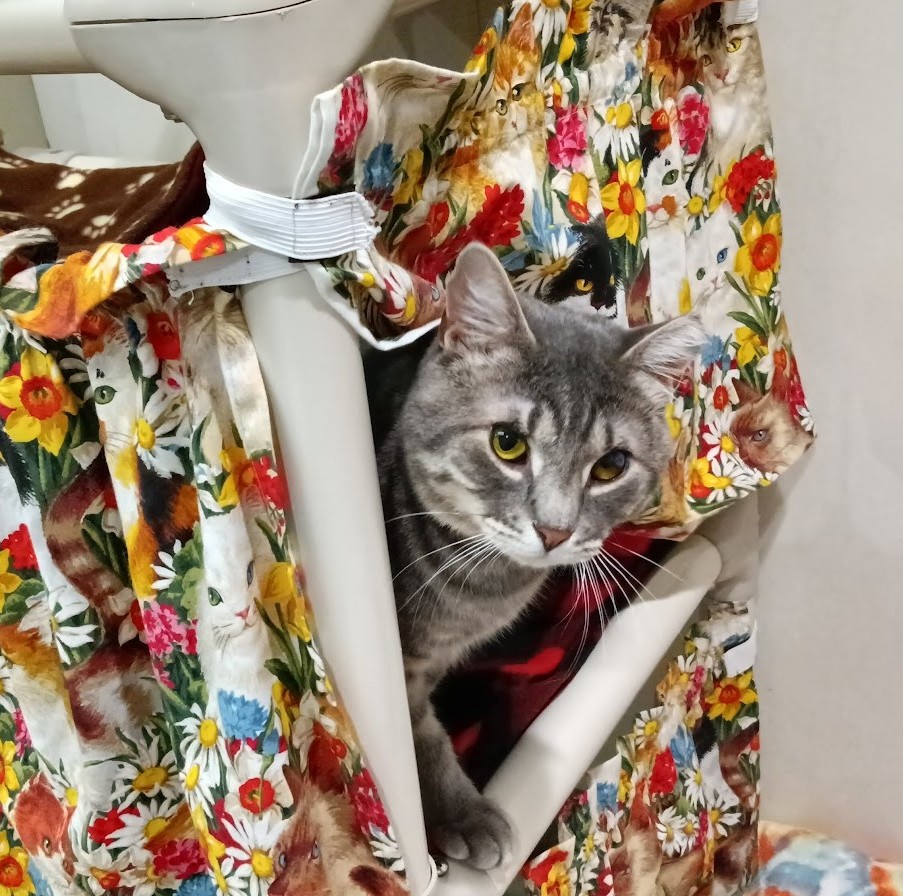Kitty LeFey’s Cosmos: In the Nick of Time – Tabby's Place